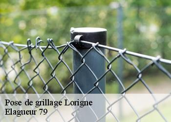 Pose de grillage  lorigne-79190 Elagueur 79