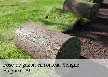 Pose de gazon en rouleau  seligne-79170 Elagueur 79