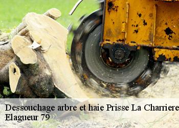 Dessouchage arbre et haie  prisse-la-charriere-79360 Elagueur 79