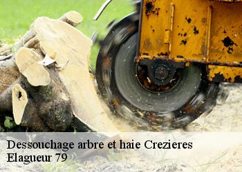 Dessouchage arbre et haie  crezieres-79110 Elagueur 79