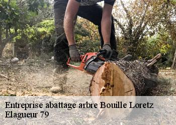 Entreprise abattage arbre  bouille-loretz-79290 Elagueur 79