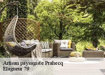 Artisan paysagiste  prahecq-79230 Elagueur 79